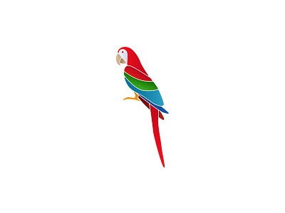 Macau Parrot Vector Illustration bird illustration logo macau parrot