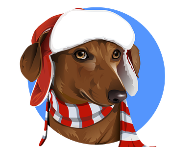 Dashshund animal art animal illustration dachshund dog