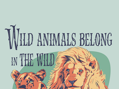 Wild Animals animal art animal illustration lions