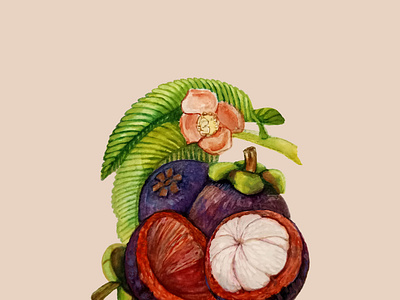 mangosteen