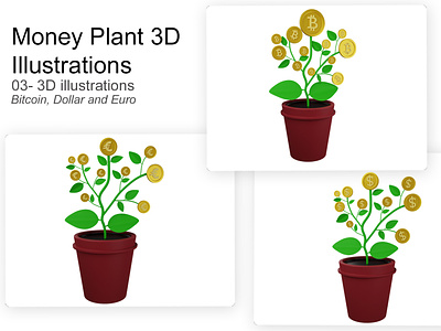 Money plant 3d illustrations