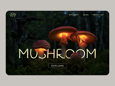 Mushroom design firstshot mushroom ui web website