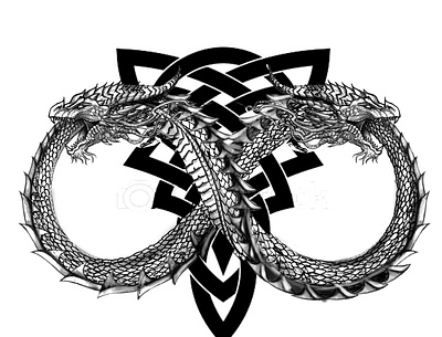 Black and white tattoos arts blackandwhite dragon skull sleevetattoo snake snkeandskull tattoodesign tattoos tribal tribaltattoo