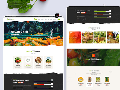 Agriculture and Organic Food agriculture business consulting design ecommerce illustration organic organic food psd shop ux vector web