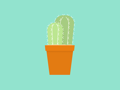 Little Cactus cactus color flat illustration plants sketch succulents
