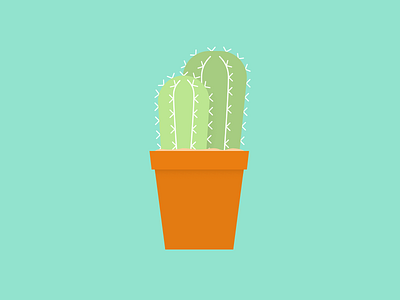 Little Cactus