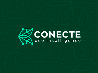 Conecte Eco Intelligence Logo