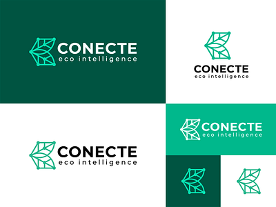 Conecte Eco Intelligence Logo