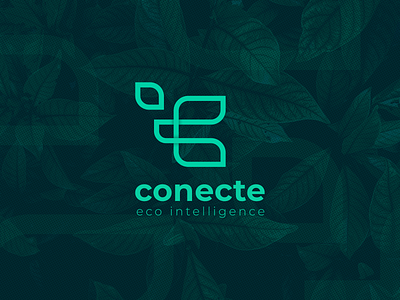 Conecte Eco Intelligence Logo Study branding design icon illustrator logo photoshop