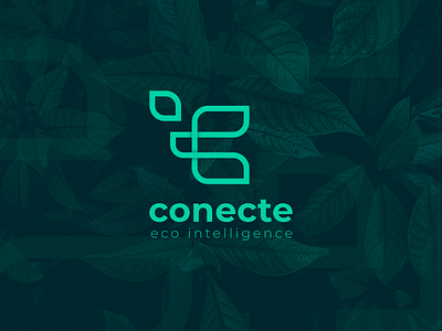 Conecte Eco Intelligence Logo Study