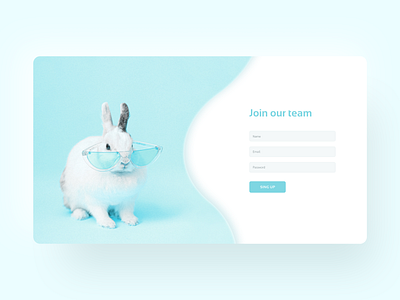 Daily UI : 001 / Sign Up Form