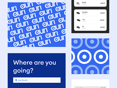 Auri - Design Elements app branding design mobile ridesharing app uber ui uiux user experience user interface design ux