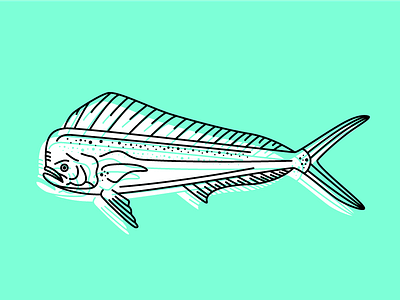 FISH TWO