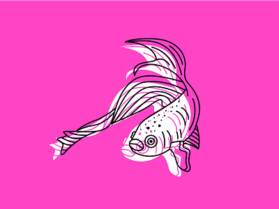 FISH THREE! aquarium betta betta fish eyes fish icon illustration line ocean pet swim