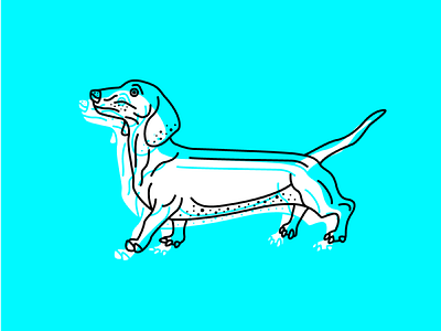 WALT animal dog illustration puppy vector walter wiener dog