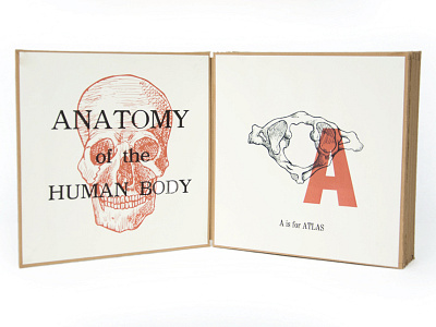 Anatomy Book anatomy book bookbinding illustration letterpress printmaking