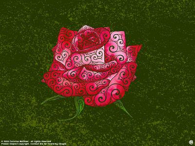 Swirly Rose abstractart aquarelle botanical classic colorful digitalart femaleartist flower flowers illustration ink mixedmedia nature pink red romantic rose roses swirly traditonalart