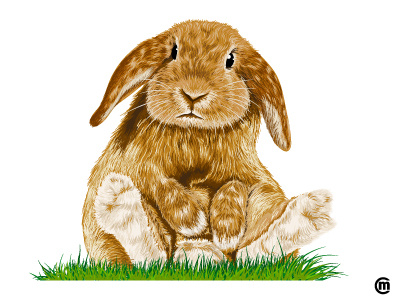 Bunny 2015 animals brandnew bunny cute drawing easter funny illustration