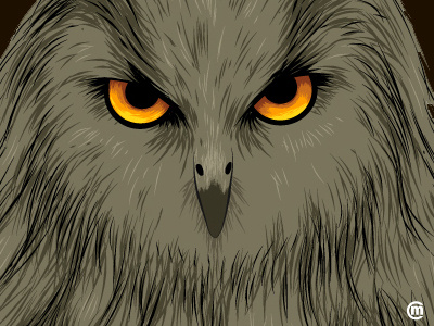 Grumpy Owl animal birds brandnew cute evil grumpy illustration owl vector