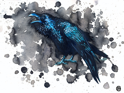 Inktober 2016 animals bird drawing illustration ink inkpens inktober inktober2016. inkspiration raven splatter