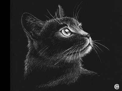 Cat Portrait (Inktober 2016) animals cat drawing illustration ink inkpens inktober inktober2016. inkspiration kitty portrait