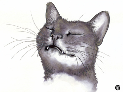 Pure Bliss animals cat cat portrait drawing illustration ink painting