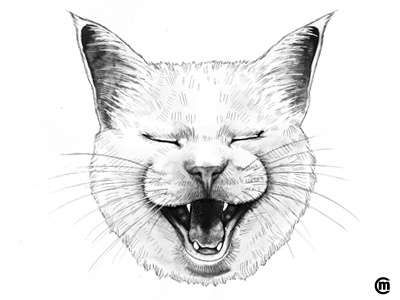 LOL animals cat funny illustration ink lol