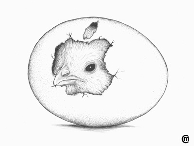 Inktober Day 5 Chicken animal baby bird chicken dailydrawing drawing egg illustration ink inktober inktober2018