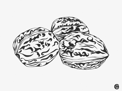 Inktober Day 14 Walnuts art blackandwhite dailydrawing drawing illustration ink inktober inktober2018 inktoberdaily nuts walnut