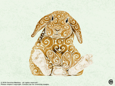 Swirly Bunny