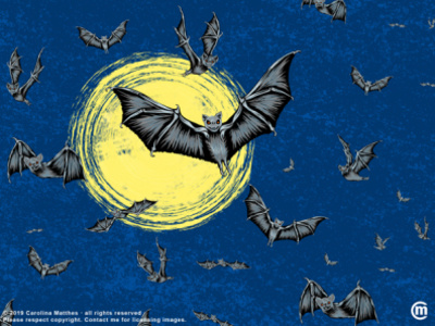 Bat Swarm animals bat bat swarm bats dark art fangs flying creatures halloween horror illustration moon swarm vampires vector vectorillustration