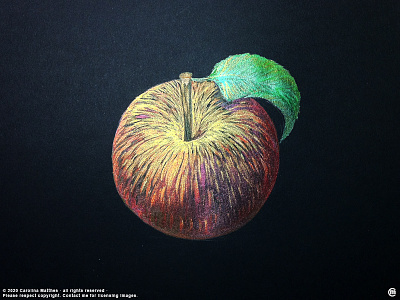 Apple apple black paper brandnew drawing fruit illustration ink painting shimmering ink traditional