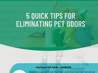 5 Quick Tips for Eliminating Pet Odors