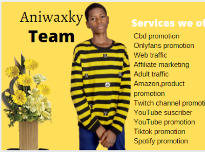 Aniwaxky profile online marketing online shopping shopify promotion solo ads solo ads soundclound spotify promotion web design web traffic