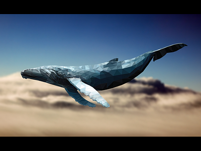 Polygon Whale illustration polygon whale