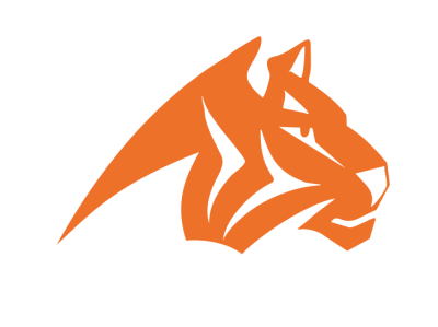 Tiger head design icon illustration tiger tiger logo