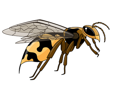 Wasp in cartoon style background cartoon colorful decor design element flat illustration insect logo shushunya splash vector wallpaper wasp