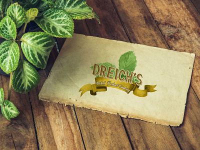 Dreigh's Herbal Product Trading logo design flat logo