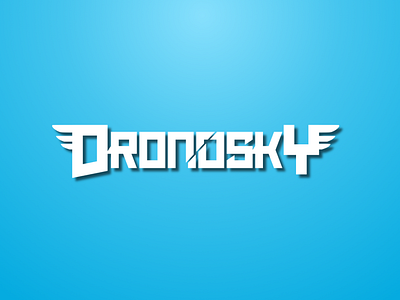 LOGO DESIGN - Dronosky drone drone logo logo logodesign logotype