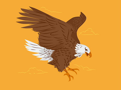 Eagle air animal bird clean cute animal eagle illustration line texture