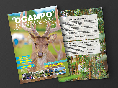 OCAMPO GAZETTE design grids indesign layout magazine mock