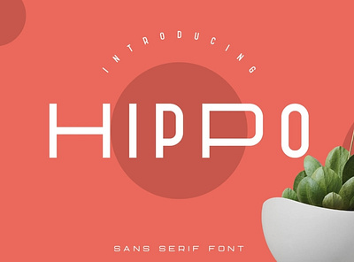 Hippo Sans Serif | 3 STYLES brand branding bundle creative design font lettering logo serif typeface