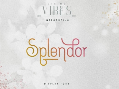 [Spring vibes] splendor font brand branding bundle creative design font freebie lettering logo typeface