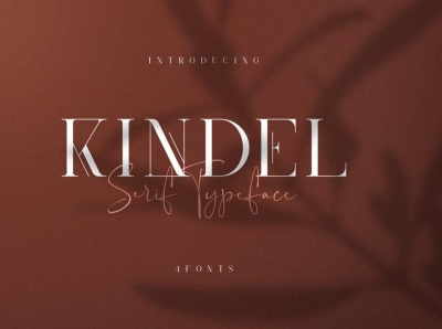 Kindel - serif typeface | 4 styles brand branding bundle creative design font lettering logo serif typeface vector