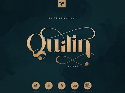 QUILIN SERIF - LATIN AND CYRILLIC brand bundle creative design font illustration lettering logo minimal serif typeface ui ux vector web