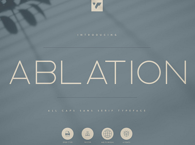 Ablation - Sans Serif Typeface app branding creative design lettering serif typeface ui ux vector web