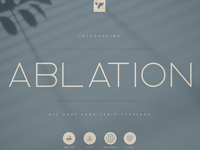 Ablation - Sans Serif Typeface