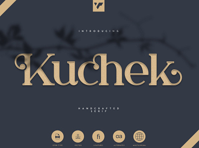 KUCHEK - HANDCRAFTED SERIF FONT app brand design handcrafted logo serif typeface ui ux vector web