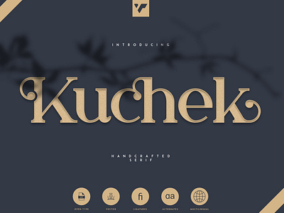 KUCHEK - HANDCRAFTED SERIF FONT