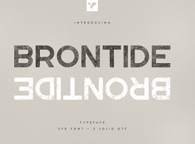 Brontide VP Typeface - Bitmap vsg font + 2 solid fonts brand creative design font logo typeface vector